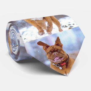 Cravate Chien drôle