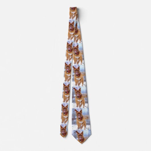 Cravate Chien drôle (Dos)
