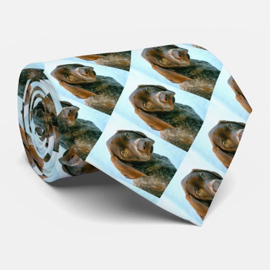 Cravate Chien haut (Roulé)