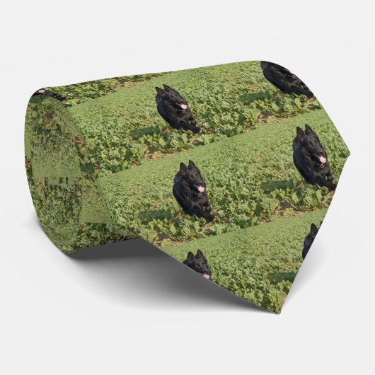 Cravate Chien noir (Roulé)