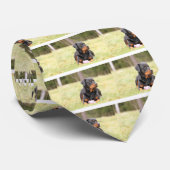 Cravate Chien Rottweiler (Roulé)