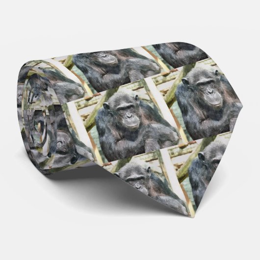 CRAVATE CHIMPANZÉS CUITS (Roulé)