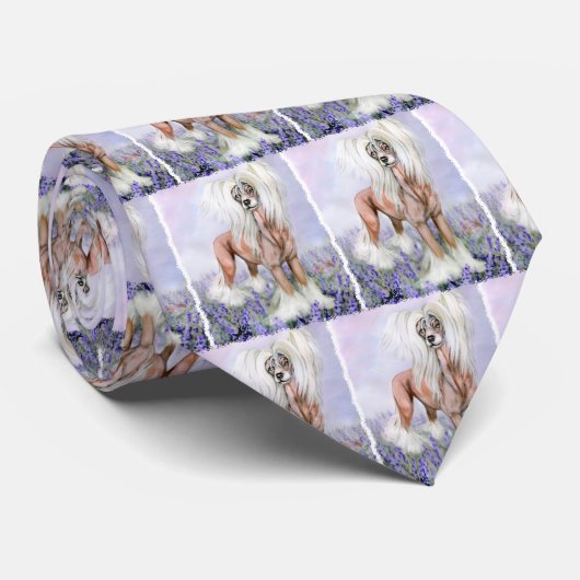 Cravate Chine Bonnets bleus cirés (Roulé)