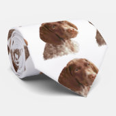 Cravate Chiot à aire courte allemand (Roulé)