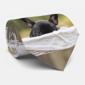 Cravate chiot à la recherche (Roulé)