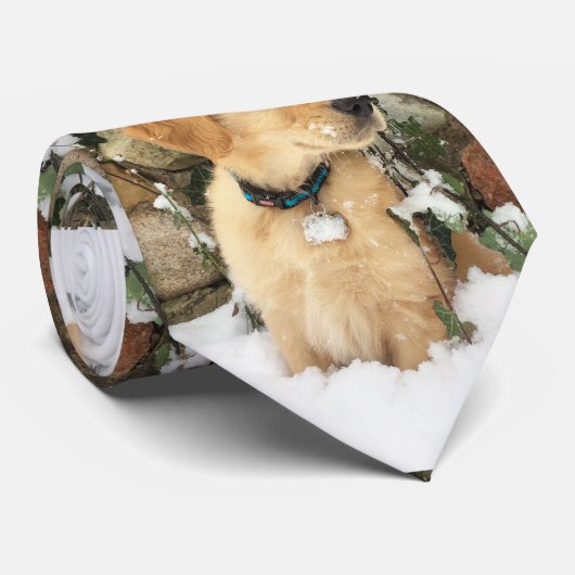 Cravate Chiot à neige (Roulé)