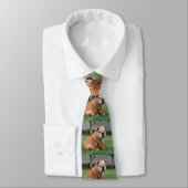 Cravate chiot bouledogue rouge et blanc (Attaché)