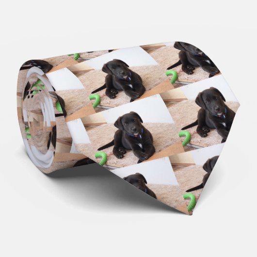 Cravate Chiot de récupération Black Labrador (Roulé)