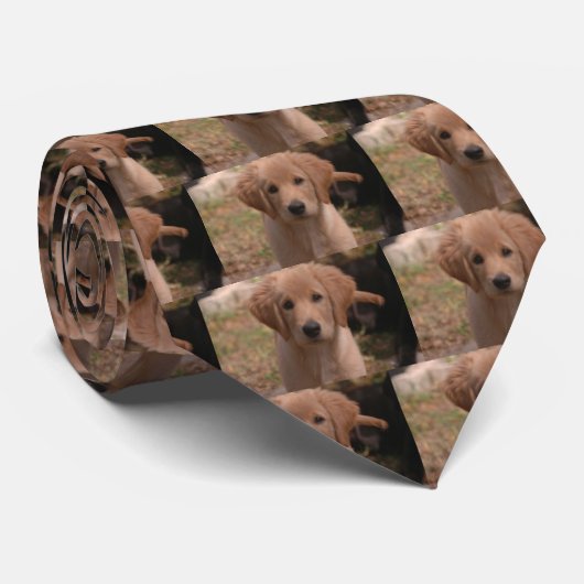 Cravate Chiot d'or (Roulé)