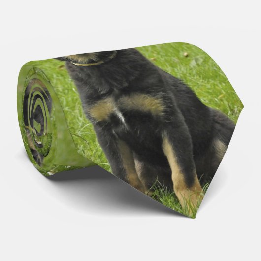 Cravate Chiot noir et bronzage de GSD (Roulé)