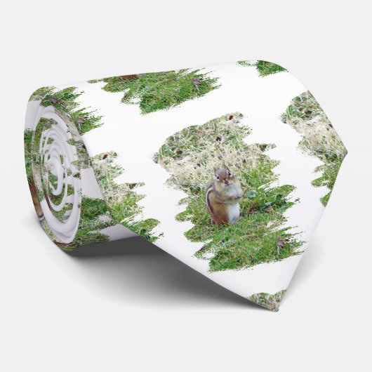 Cravate Chipmunk oriental (Roulé)