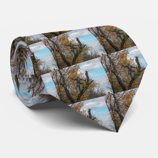 Cravate Chirurgien (Roulé)