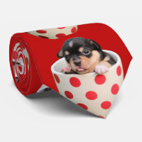 Chiwawa mignon drôle de bébé dans la tasse rouge