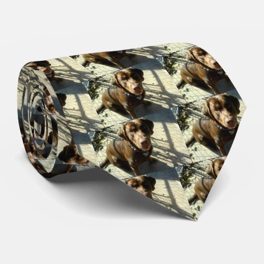 Cravate Chocolat labrador retriever (Roulé)