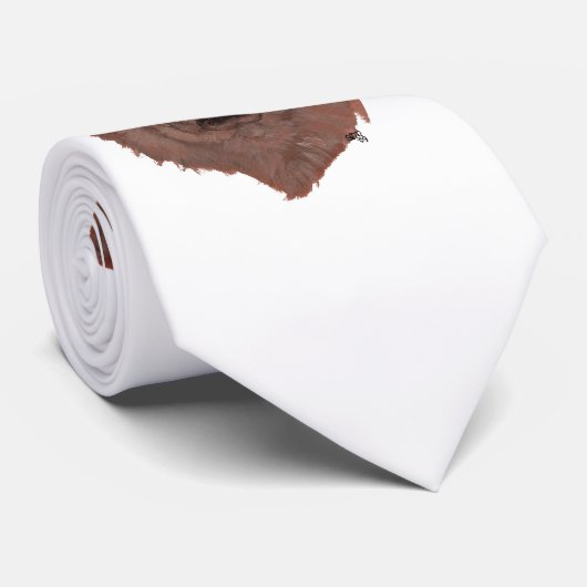 Cravate Cholcolate Brown Labrador Retriever (Roulé)