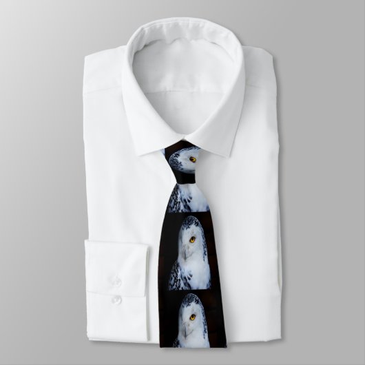 Cravate Chouette moelleuse (Attaché)