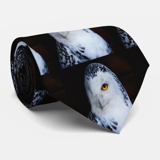 Cravate Chouette moelleuse (Roulé)