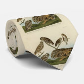 Cravate Chouettes brulantes - d'Audubon's Birds of America (Roulé)