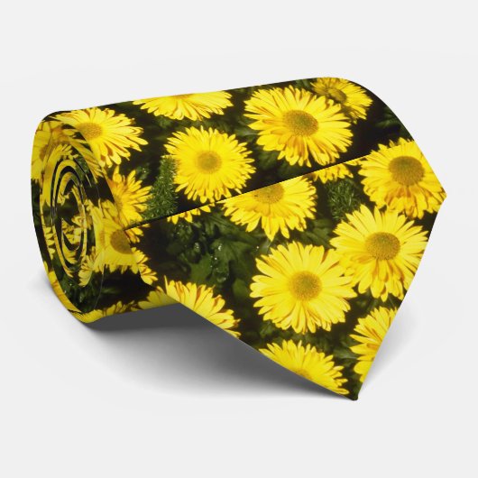 Cravate chrysanthème jaune "Gordon Taylor" (fleuriste Chry (Roulé)