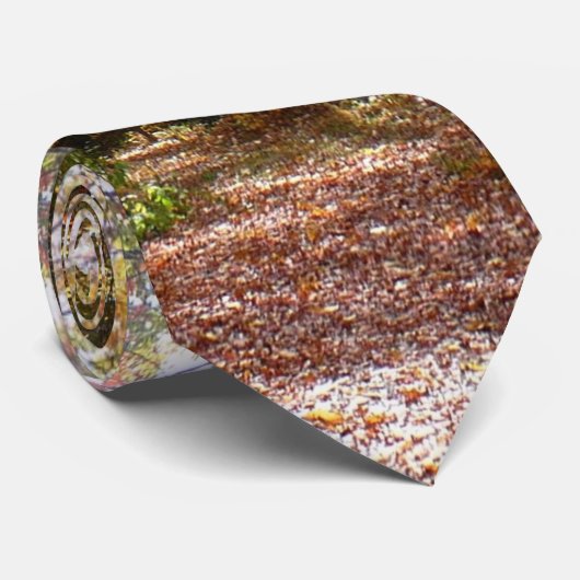 Cravate Chute Sunlit dans le parc national de Laurel Hill (Roulé)