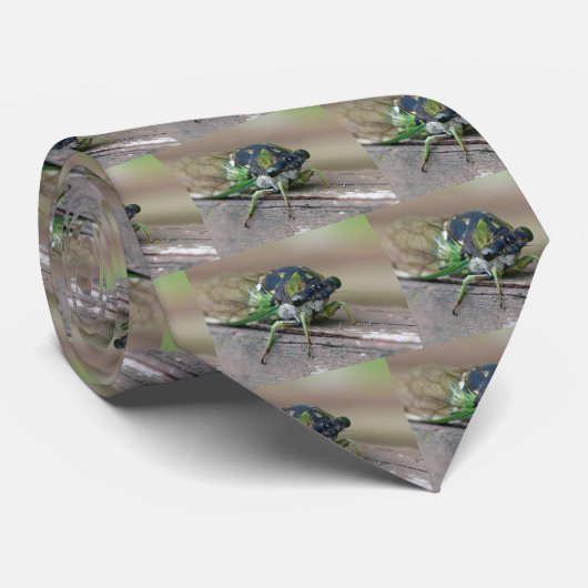 Cravate Cicada (Roulé)