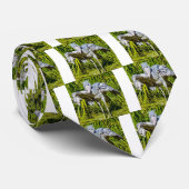 Cravate Cigogne de Shoebill (Roulé)