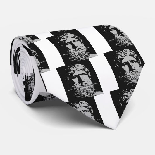 Cravate Citations de roche - Platon (Roulé)