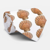 Cravate Clam Shell (Roulé)