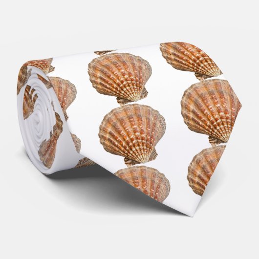 Cravate Clam Shell (Roulé)