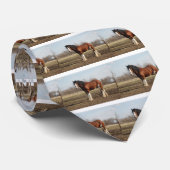 Cravate clydesdale (Roulé)