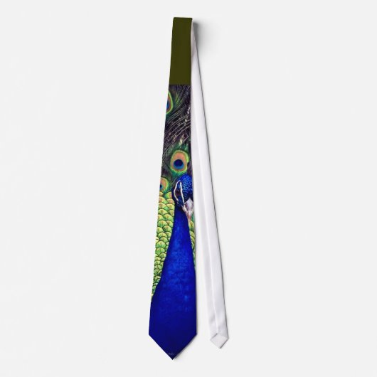 Cravate Cobalt Blue Peacock (Devant)