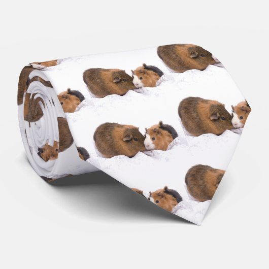 Cravate cobaye (Roulé)