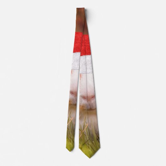 Cravate cobaye de noël (Dos)