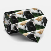 Cravate cobayes 2 (Roulé)