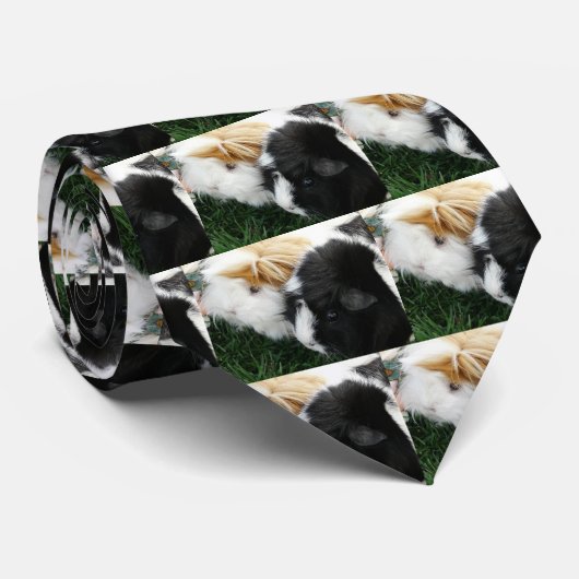 Cravate cobayes 2 (Roulé)