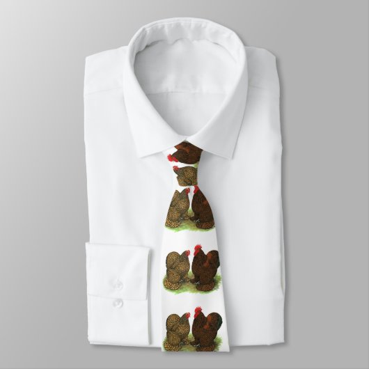 Cravate Cochins : à tôle dorée (Attaché)