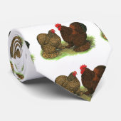 Cravate Cochins : à tôle dorée (Roulé)