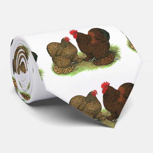 Cravate Cochins : à tôle dorée (Roulé)