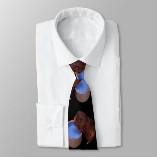 Cravate Cochon de Guinée Brown, (Attaché)