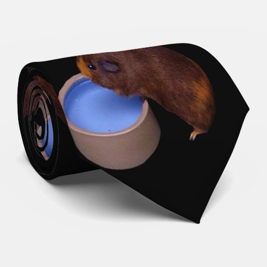 Cravate Cochon de Guinée Brown, (Roulé)