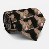 Cravate Cochonnet Rose (Roulé)
