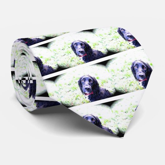 Cravate Cocker Spaniel (Roulé)