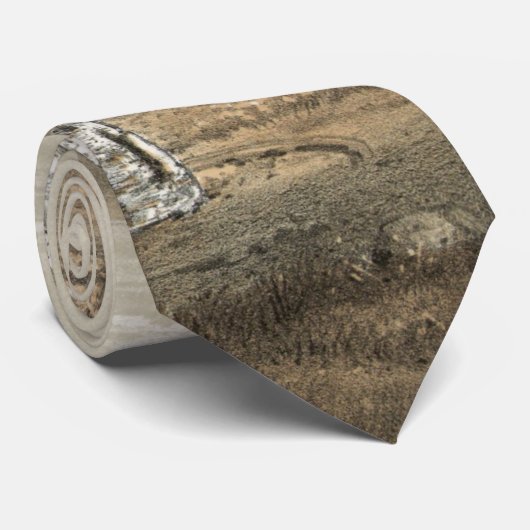 Cravate Colisée romaine (Roulé)