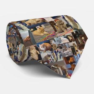 Cravate Collage de photos de chatons luffy,