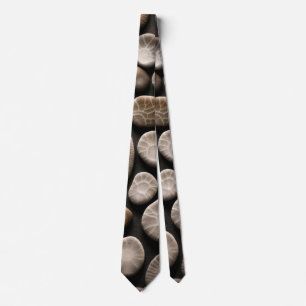 Cravate Collection de pierres Petoskey