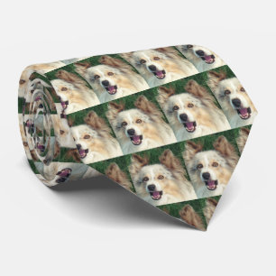 Cravate Collier pour chien exceptionnellement beau