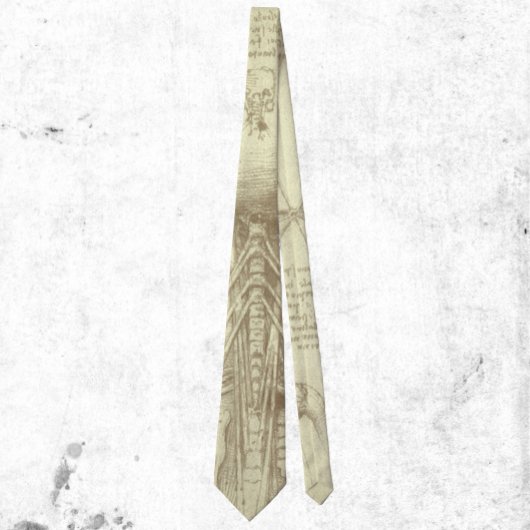 Cravate Colonne de colonne vertébrale de l'anatomie humain