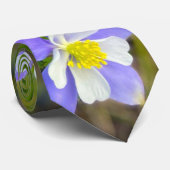 Cravate Colorful Columbine Flowers in Blue Yellow Violet  (Roulé)