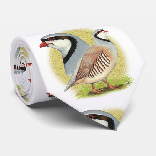 Cravate Combo de perdrix de Chukar (Roulé)