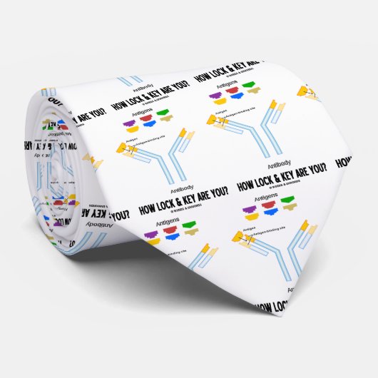 Cravate Comment la serrure et la clé sont-elles vous ? (Roulé)